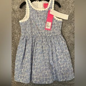 NWT Lilly Crew Blue Tint Stripe Floral Eyelet Dress